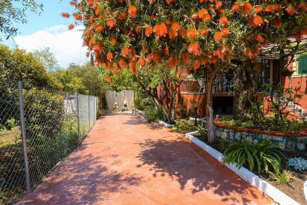 Villa The Red House In